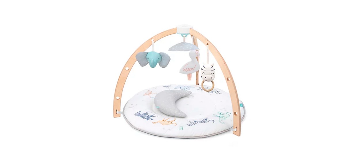 Aden and Anais Play and Discover Baby Activity Gym