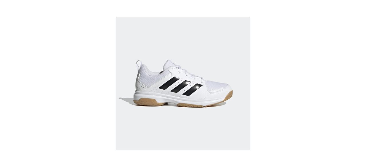 Adidas Ligra 7 Volleyball Shoes