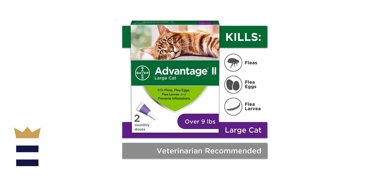 Advantage II Flea Prevention and Treatment for Large Cats