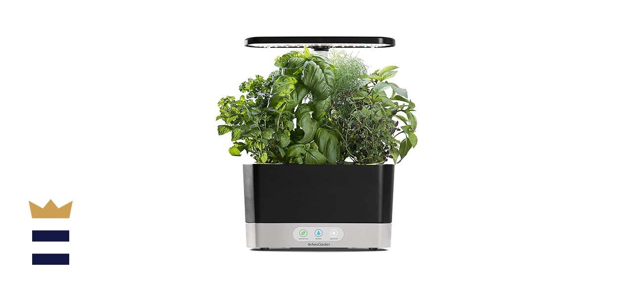 AeroGarden Black Harvest Indoor Hydroponic Garden