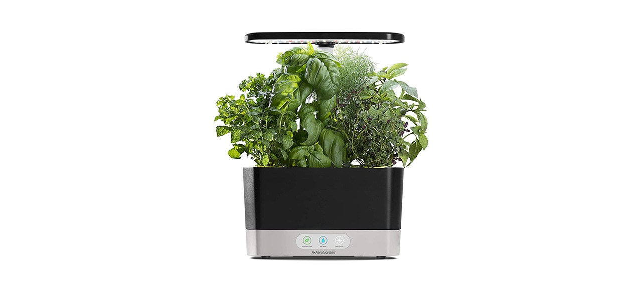 AeroGarden Harvest Indoor Garden with LED Grow Light