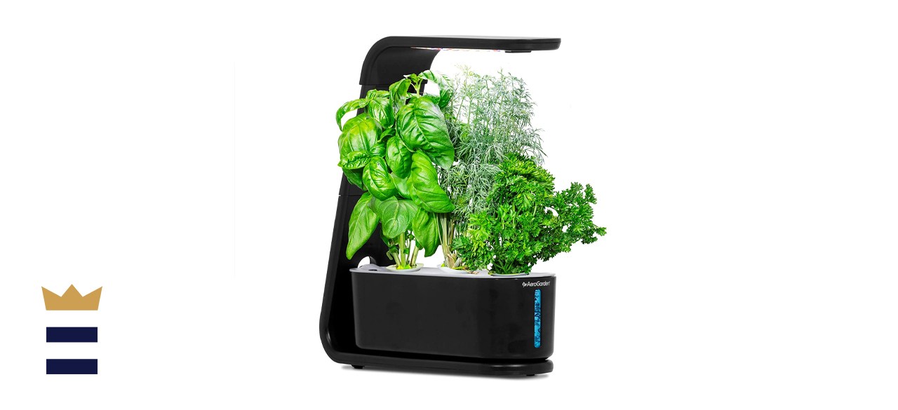 AeroGarden Sprout