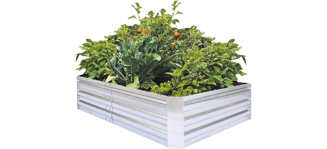 metal raised garden bed with plants on a white background