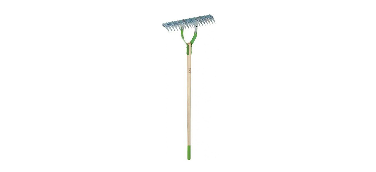 Ames 54-inch Hardwood Handle 19-Tine Adjustable Thatch Rake