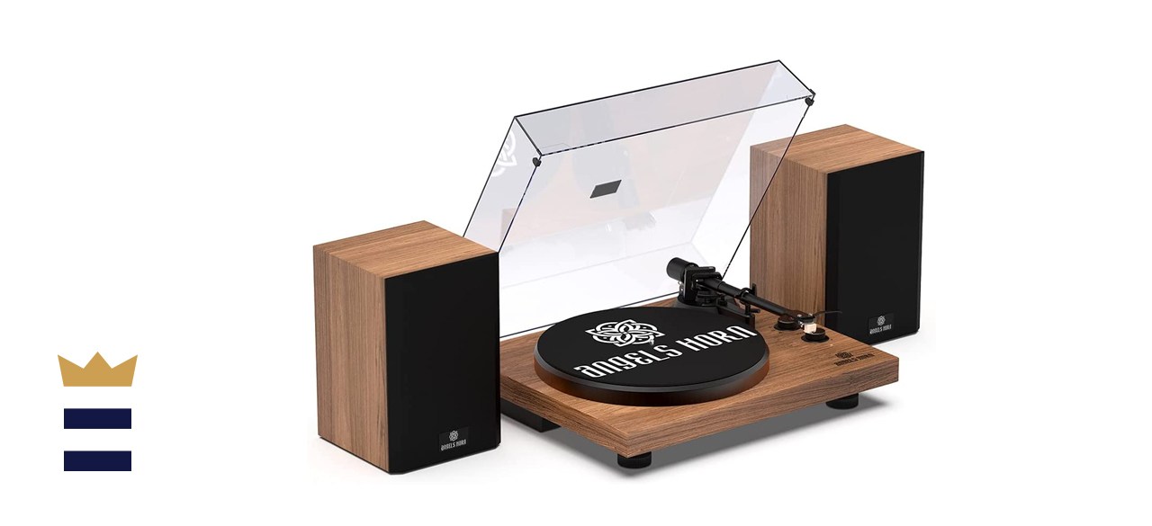 Angels Horn record player stereo system