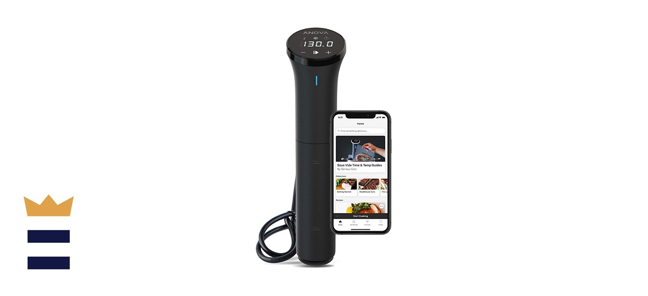 Anova Culinary Sous Vide Precision Cooker Nano