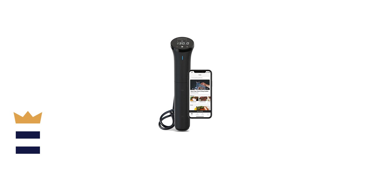 Anova Precision Cooker