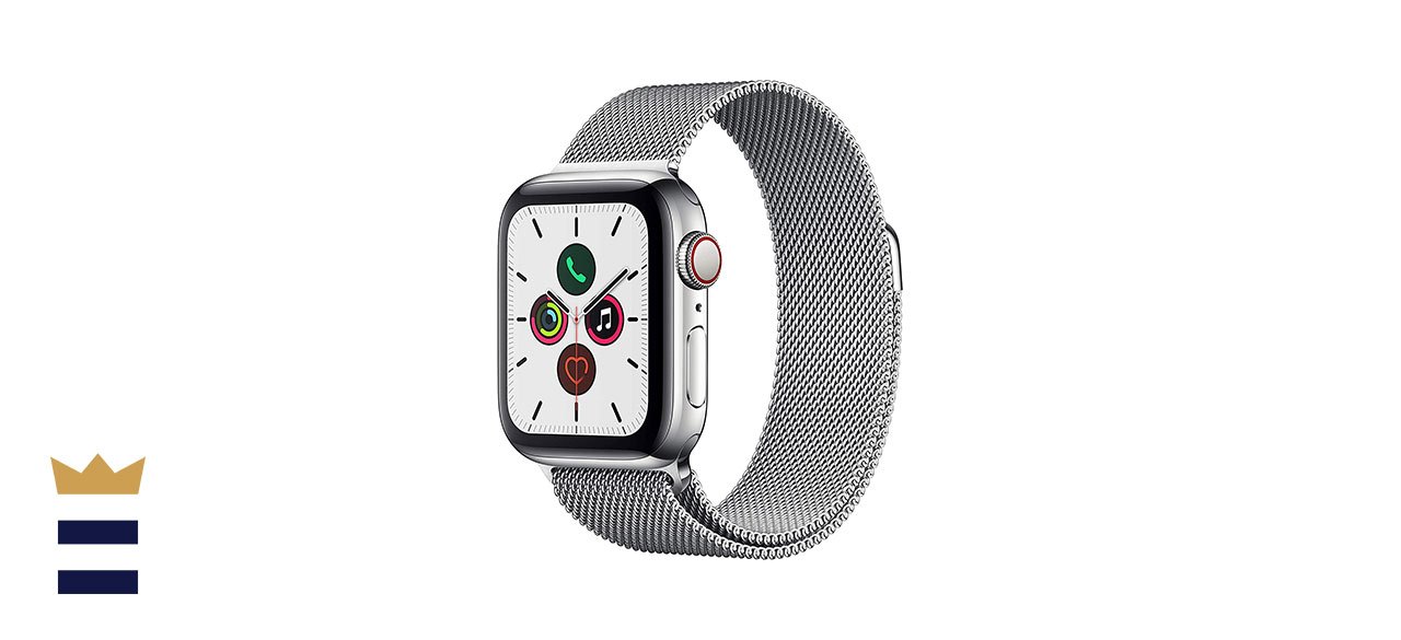 Apple Watch Series 5 Stainless Steel