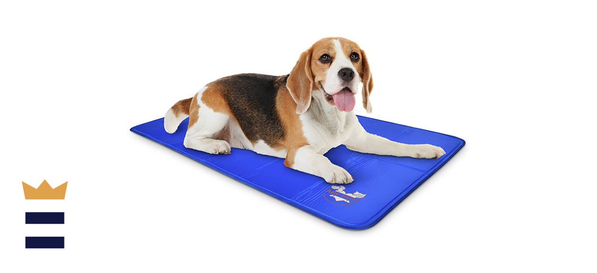 Arf Pets Solid Gel Self Cooling Dog Mat