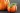 Gua de compra para las mejores calabazas arti 5