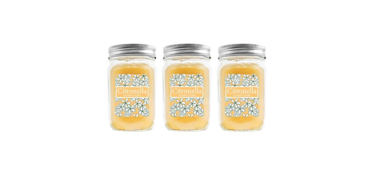 August Grove Scent Jar Candle