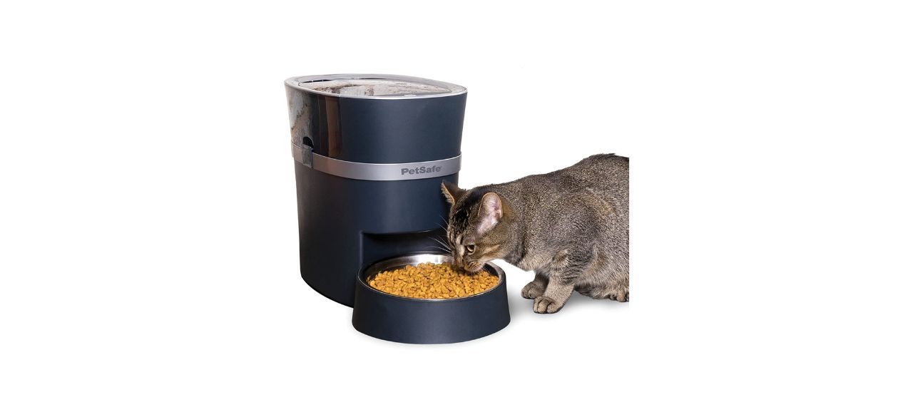 PetSafe Smart Feed