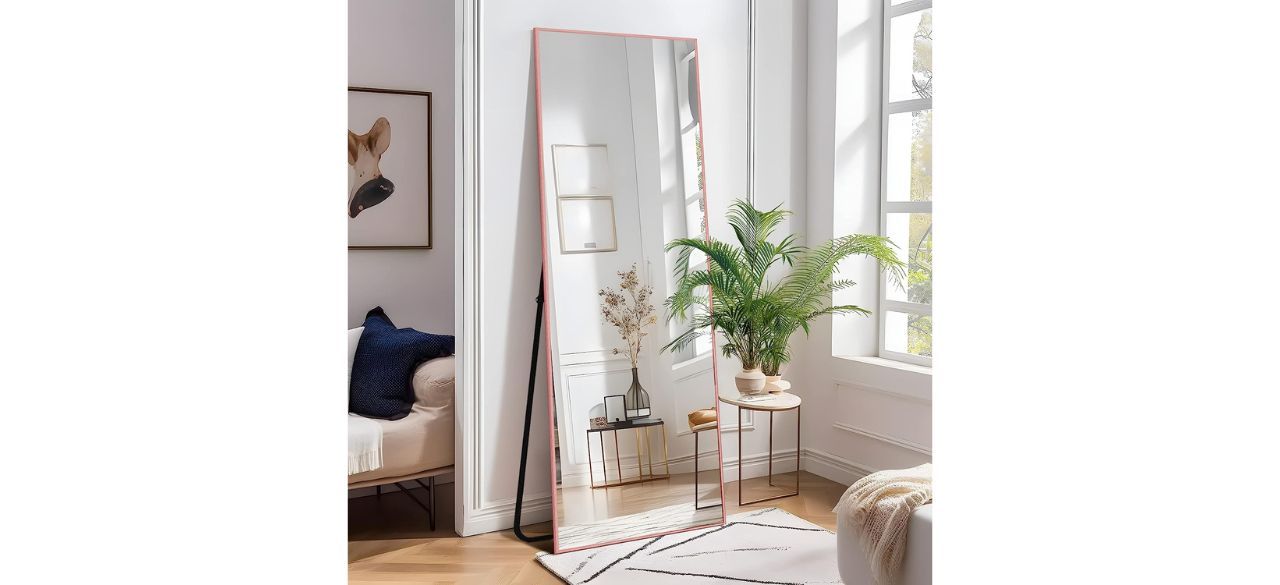 best NeuType Full-Length Mirror