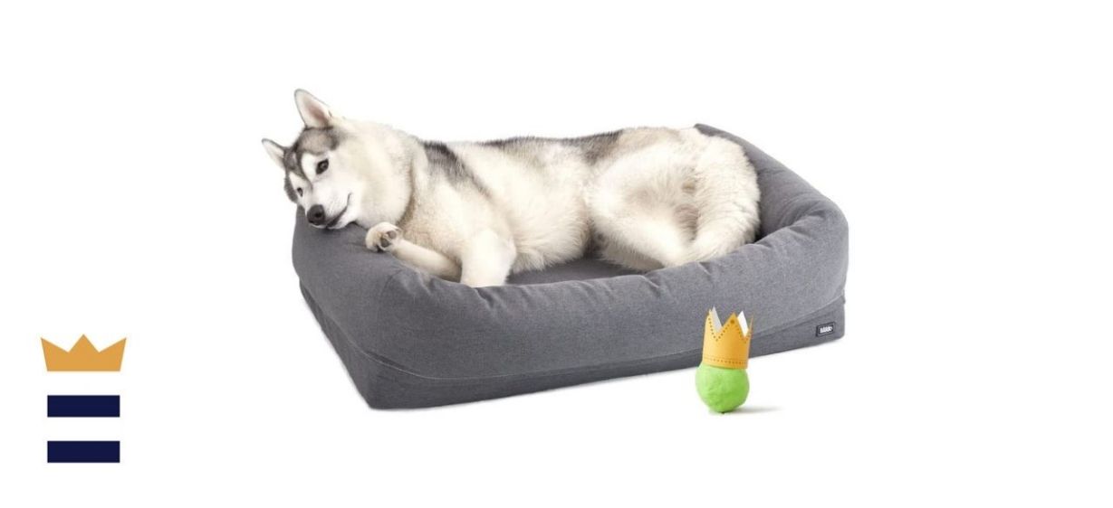 BarkBox Memory Foam Dog Bed