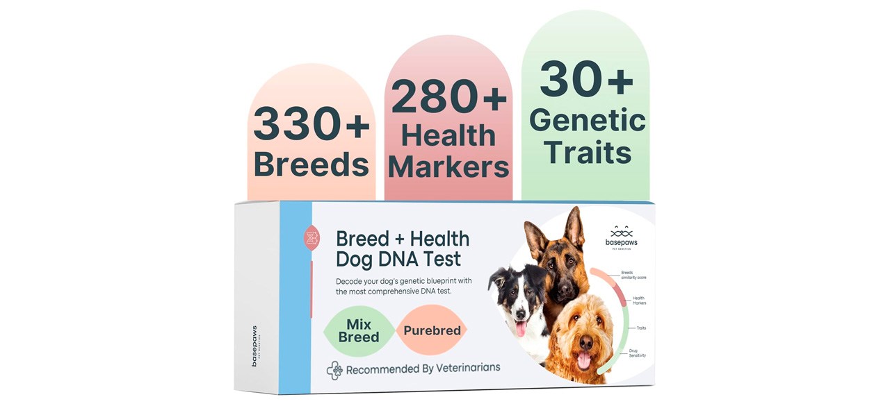 Basepaws Dog DNA Testing Kit