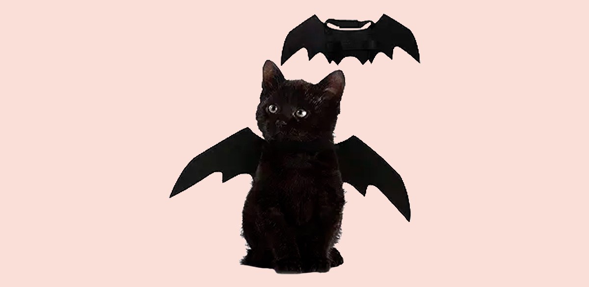 Best Bat Wings Costume for Cats Best Bat Wings Costume for Cats