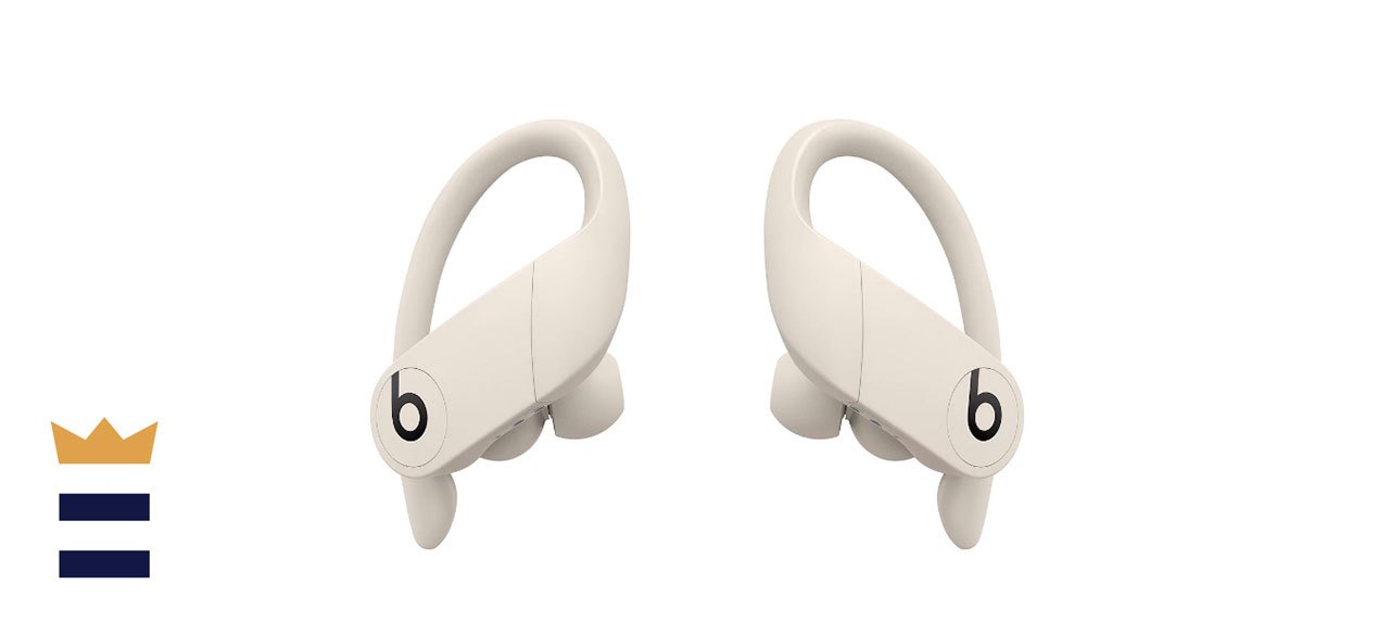 Beats Powerbeats Pro Totally Wireless Earphones