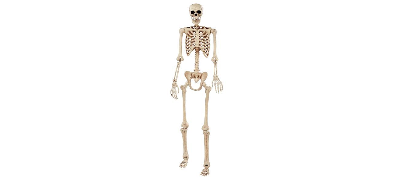 tall skeleton decoration on white background