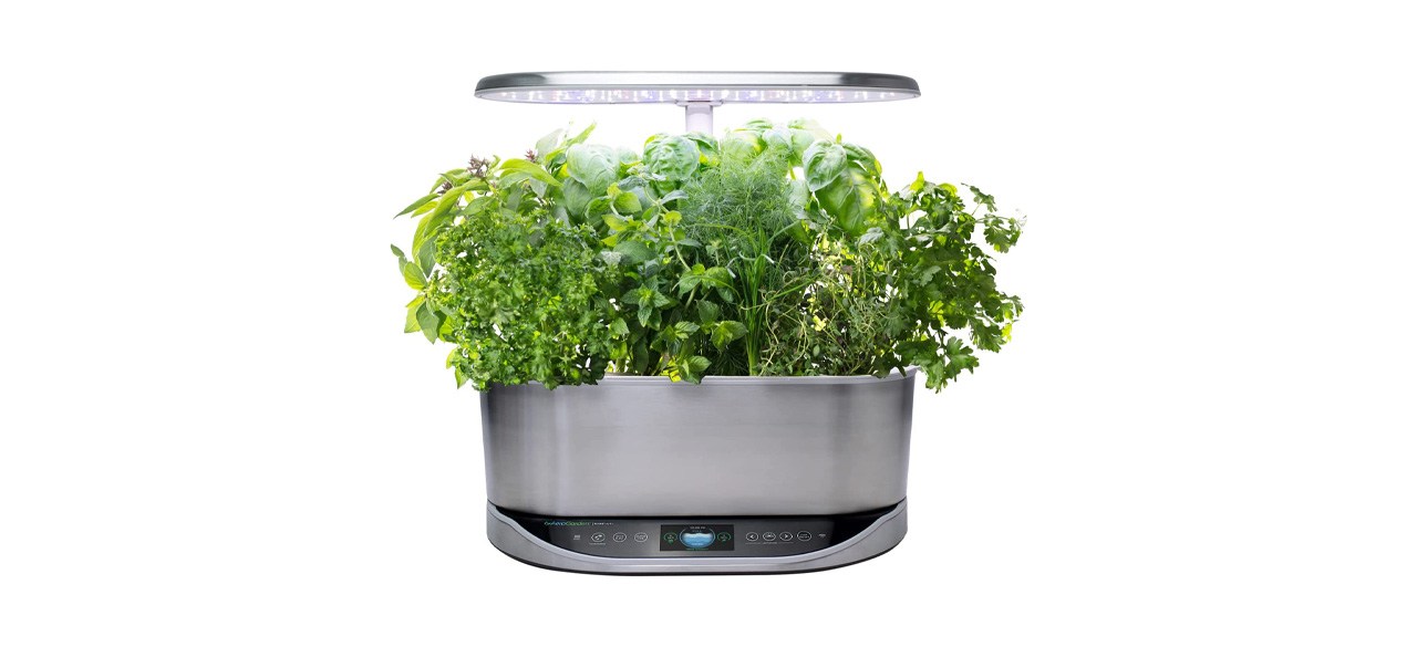 Best AeroGarden Bounty Elite