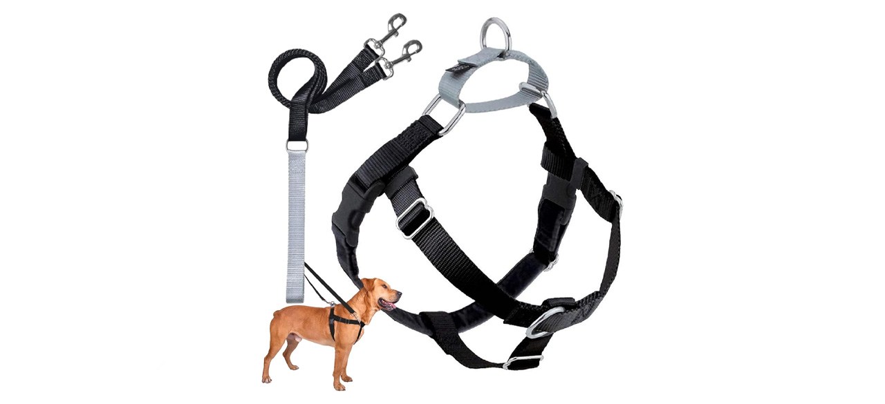 Best dog harnesses for comfort and control – The Mercury News