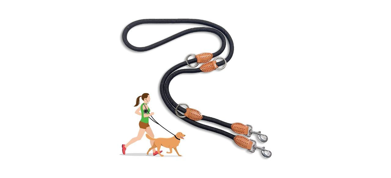 best dog training lead