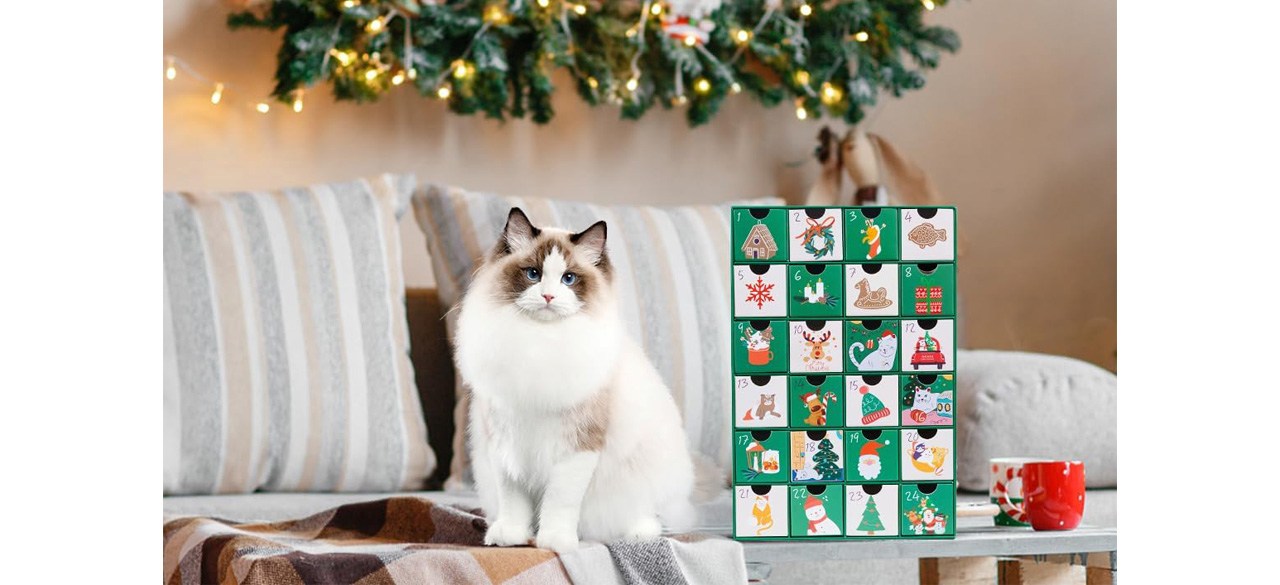 Best Empty Advent Calendar to Fill Yourself, Cat Advent Calendar 2023