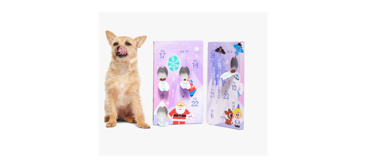 Best Rudolph Treat Advent Calendar