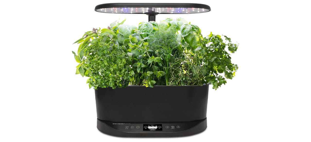 AeroGarden Bounty Basic Indoor Garden