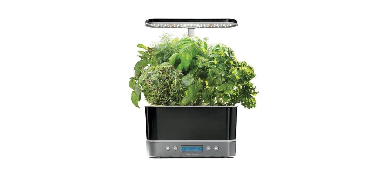 Best AeroGarden Harvest Elite