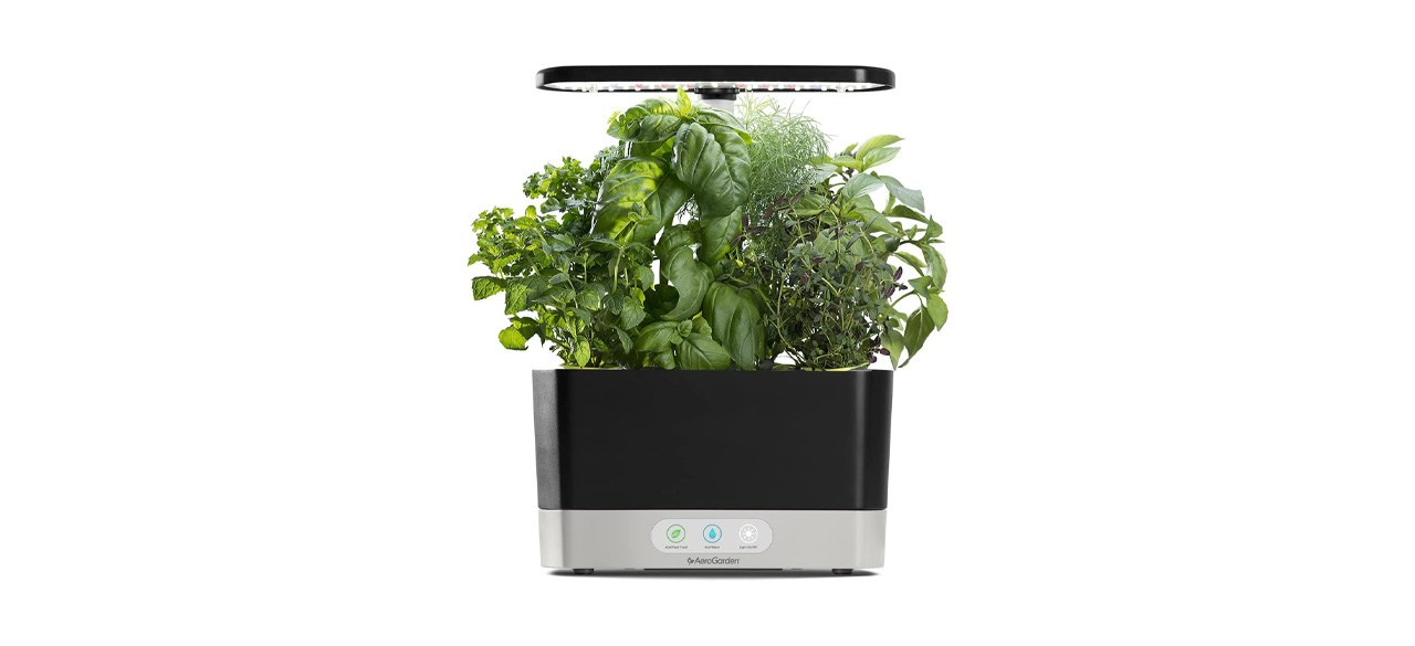 Hydroponic Indoor Garden on white background