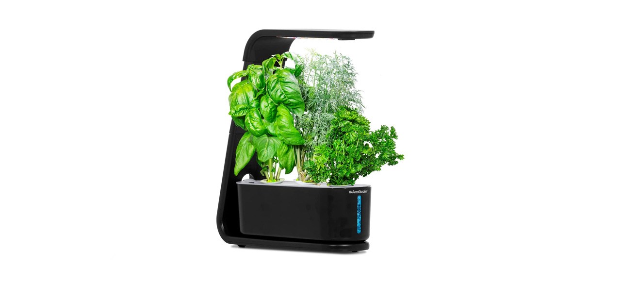 best AeroGarden Sprout