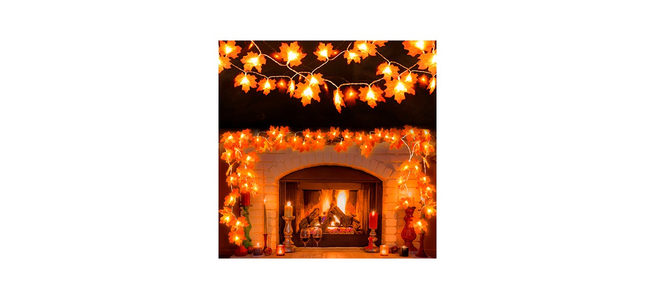 Best Amandir Maple String Lights