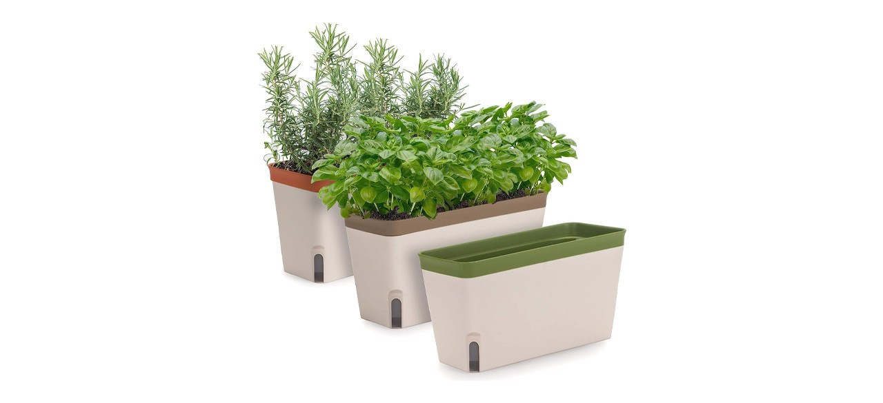 Self-Watering Planters on white background