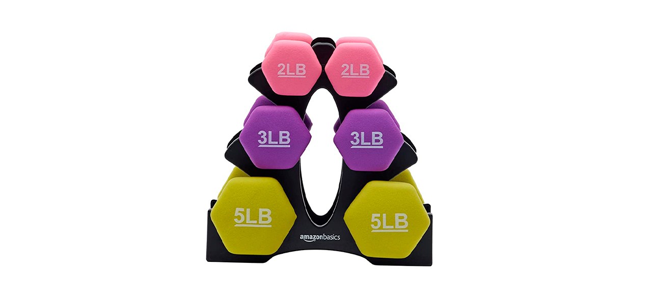 Best Amazon Basics Neoprene Dumbbell Set