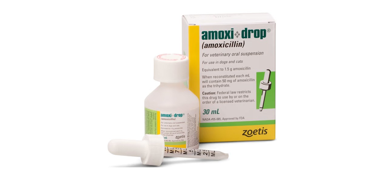 Best Amoxi-Drop (Amoxicillin) for Dogs and Cats