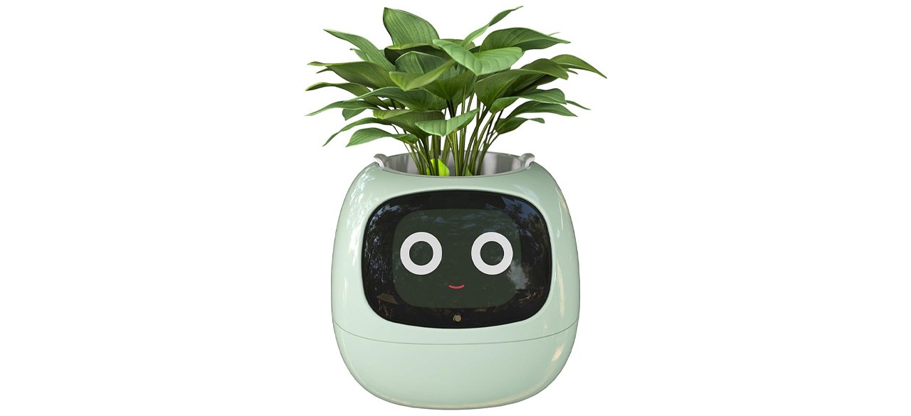 AMPULLA Ivy Smart Flowerpot