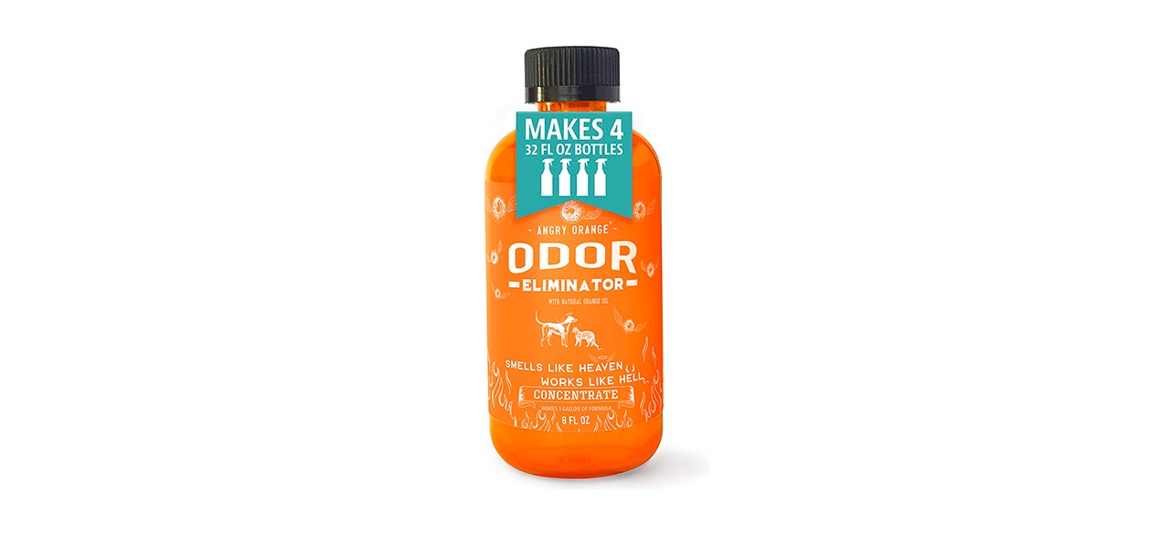 Best Angry Orange Odor Eliminator