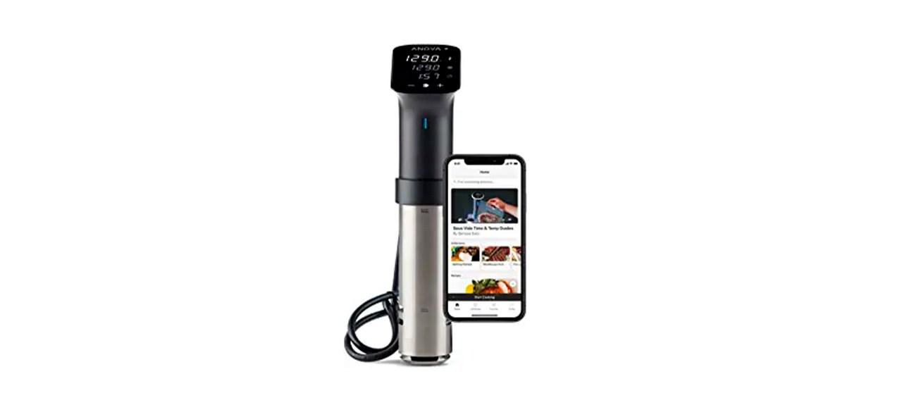 Best Anova Culinary Sous Vide Precision Cooker Pro-