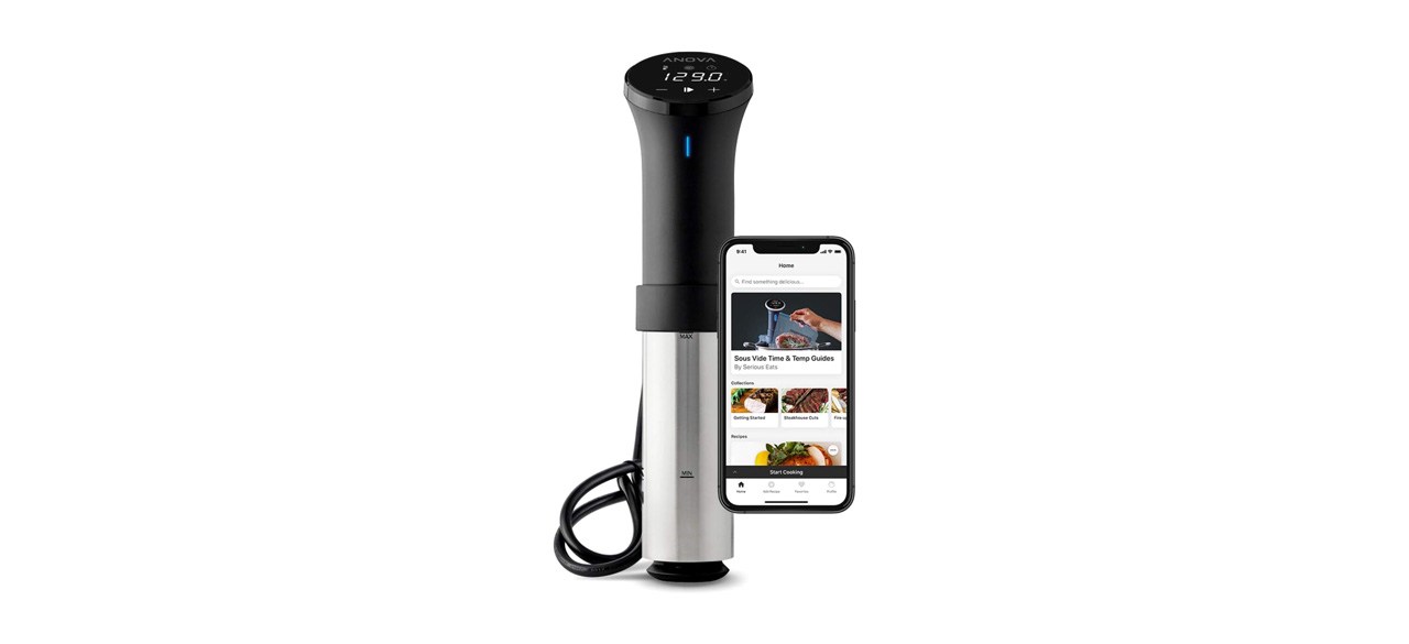 Best Anova Sous Vide Precision Cooker