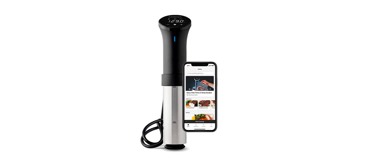 Best Anova Sous Vide Precision Cooker