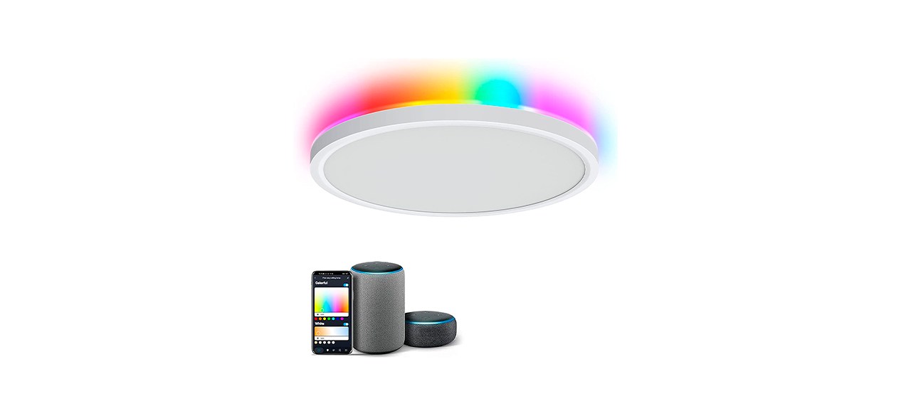 Best Aphyni Smart Ceiling Light Fixture