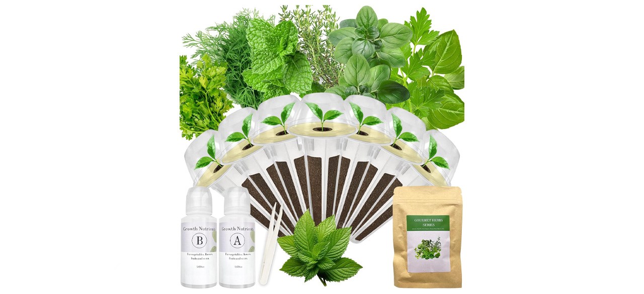 Apolosedic Salad Greens Seed Pod Kit
