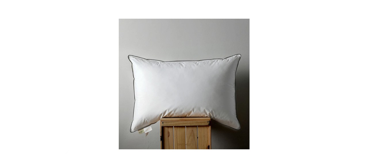 best Apsmile Goose Feather Down Pillow