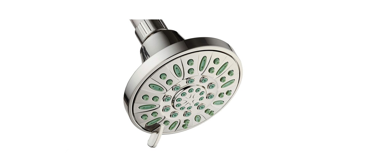 best AquaDance Antimicrobial 6-Setting Showerhead