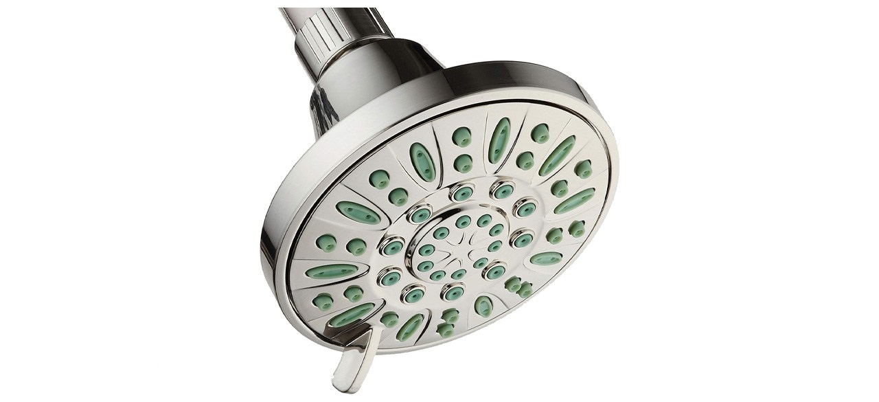 AquaDance Antimicrobial 6-Setting Showerhead