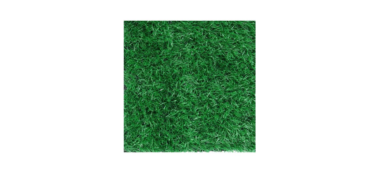 Dog Grass Artificial Turf on white background