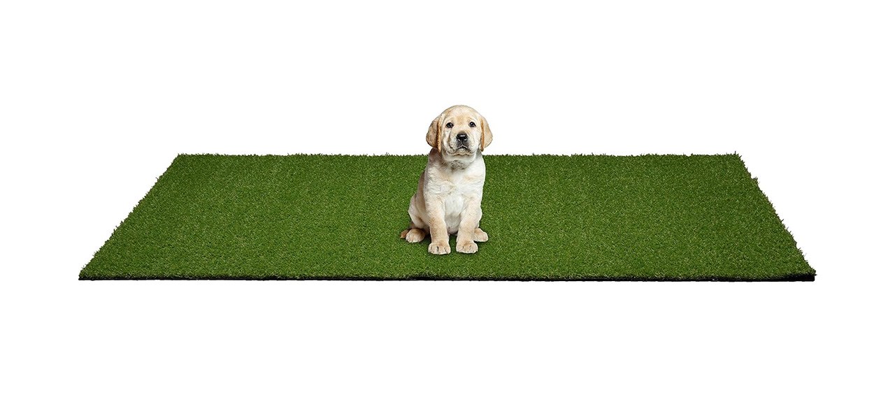 Garland Rug Puppy Pee Pad