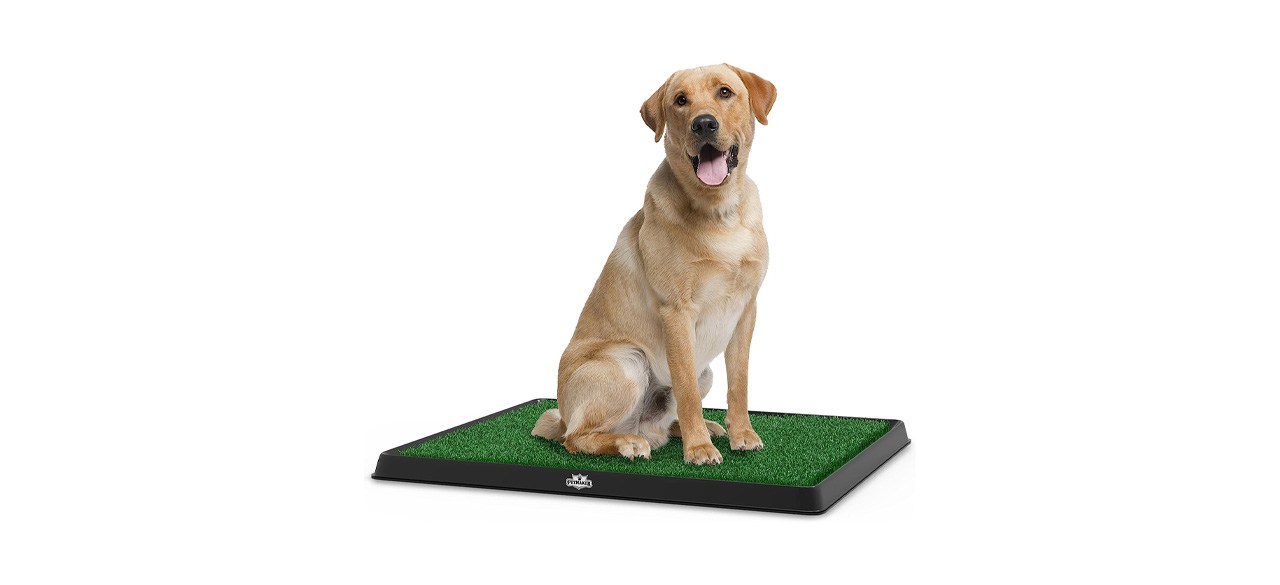 Petmaker Artificial Grass Puppy Pee Pad