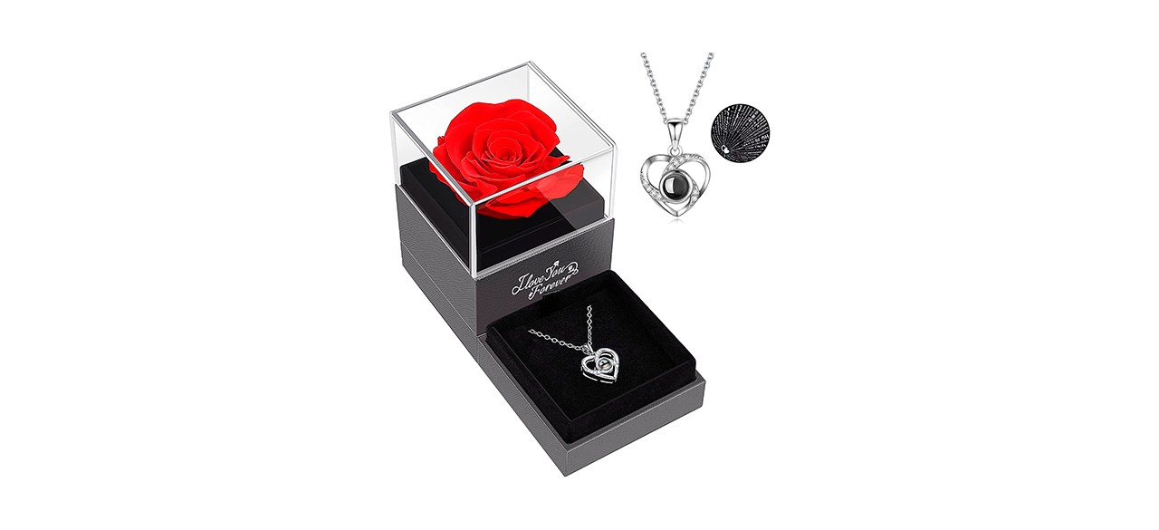 Best Aselfad Preserved Real Red Rose with I Love You Necklace