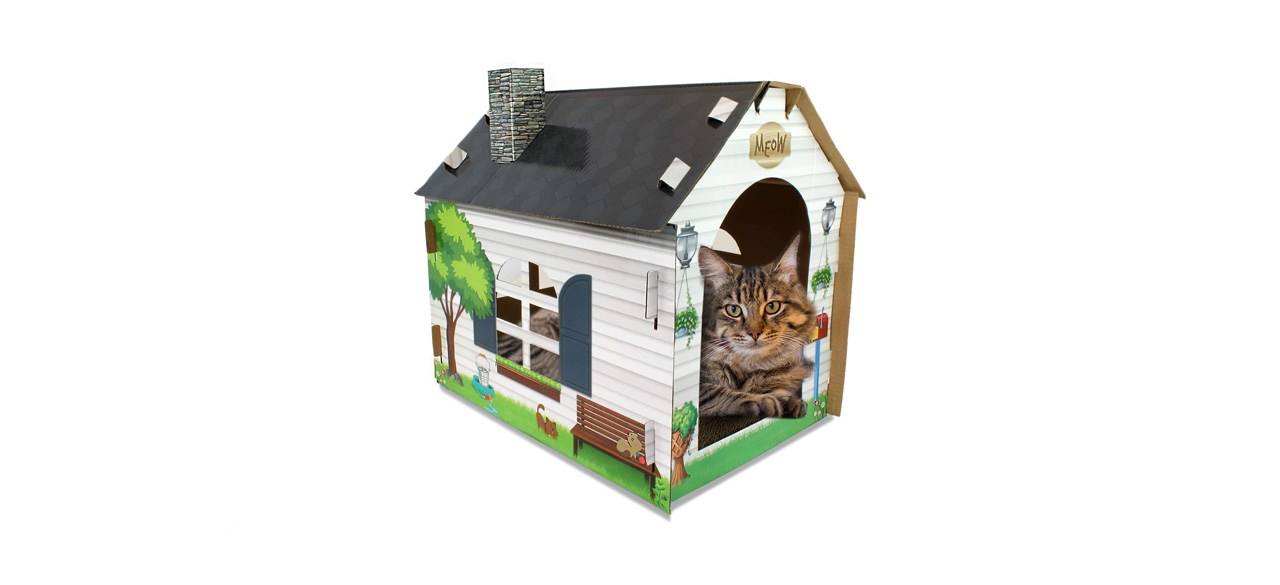 best ASPCA Cardboard Cat Home